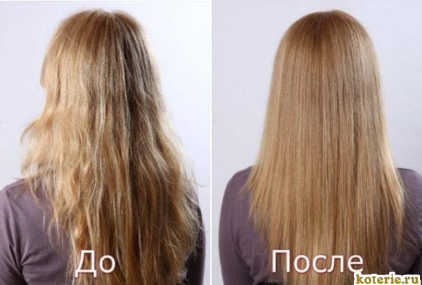 Масло жожоба для волос до и после применения